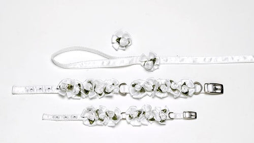 A Pets World 14000201-14 Ribbon Dog Collar + Leash Set- Wedding Petal